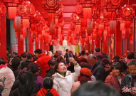 2025元宵猜灯谜,灯谜竞猜欢乐多