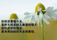 正能量激励人的短句子,正能量激励短句的力量