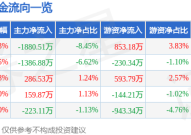 51黑电子股票行情快报:雅克科技(002409)6月9日主力资金净卖出188051万元